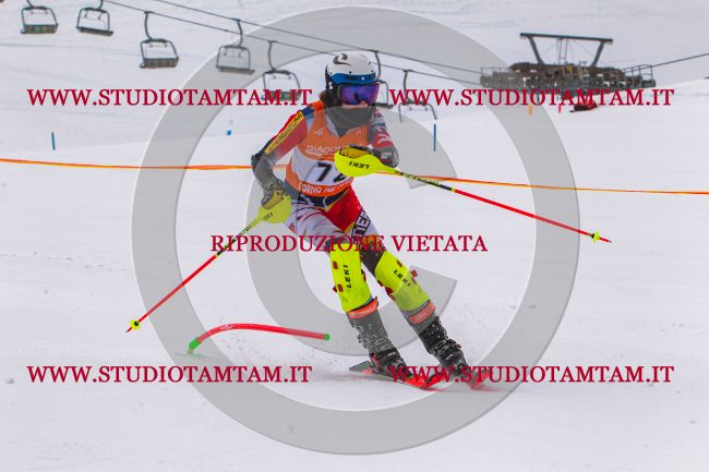 MAT_7924.jpg