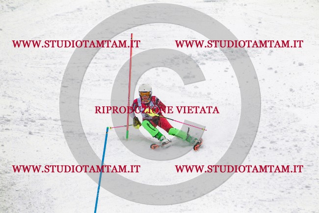 MAT_8110.jpg