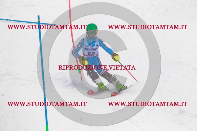 MAT_8469.jpg