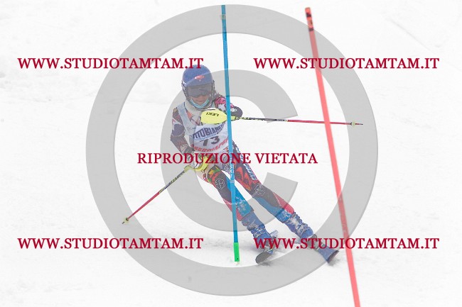 MAT_8636.jpg