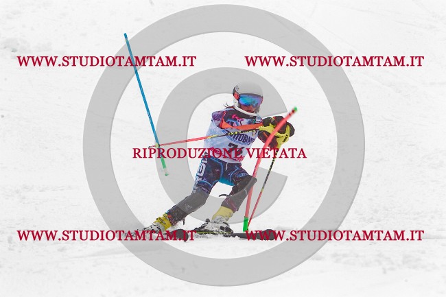 MAT_8657.jpg