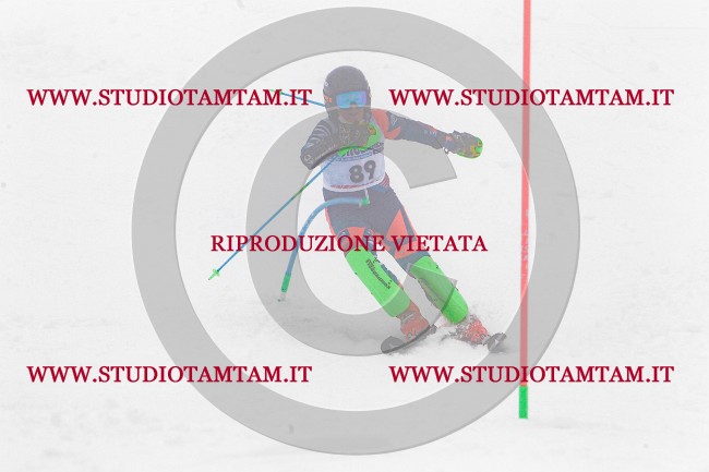 MAT_8735.jpg