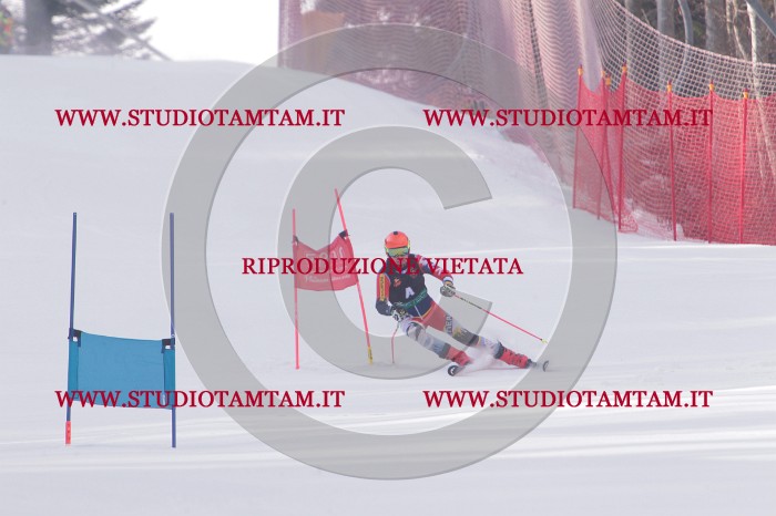 MAT_5033.JPG