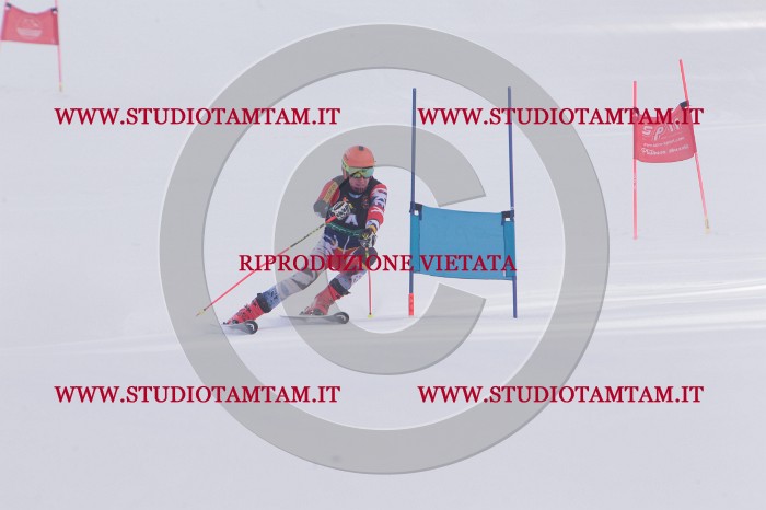 MAT_5034.JPG