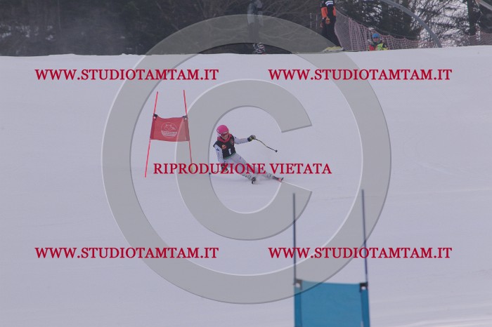 MAT_5038.JPG