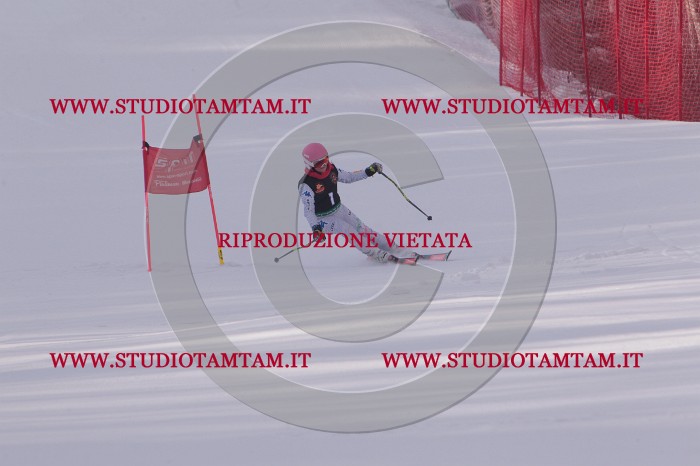 MAT_5040.JPG