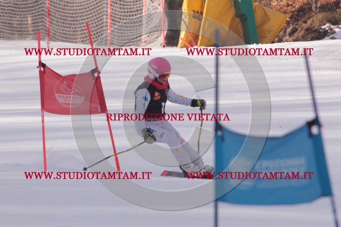 MAT_5042.JPG