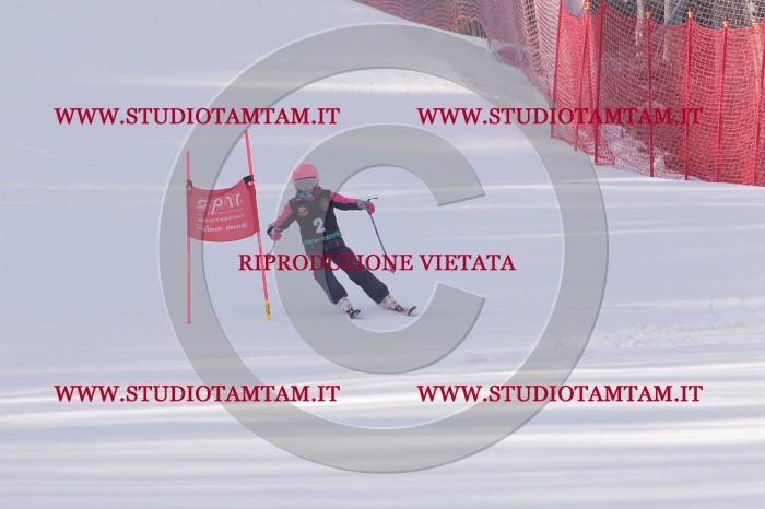 MAT_5045.JPG