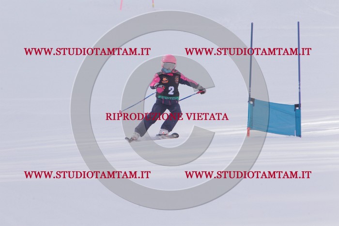 MAT_5046.JPG