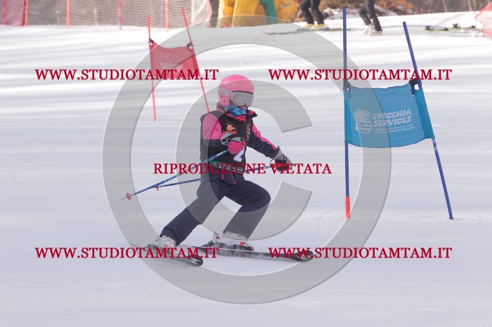 MAT_5048.JPG