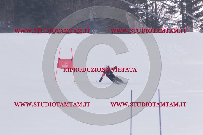 MAT_5049.JPG