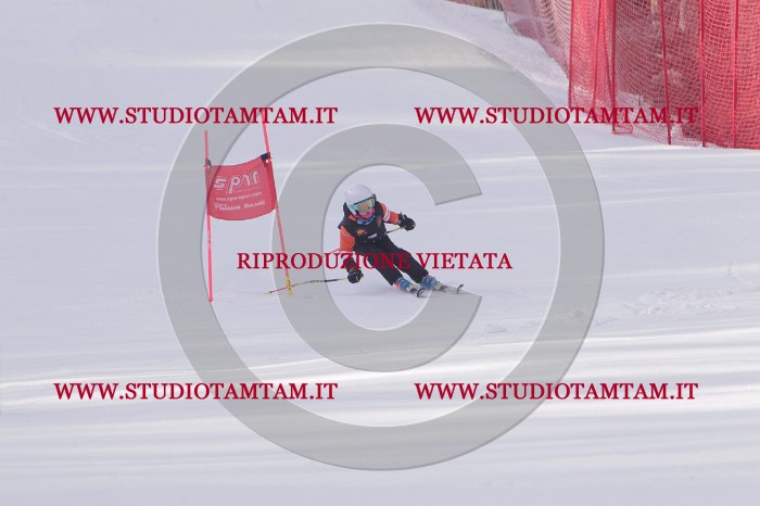 MAT_5051.JPG