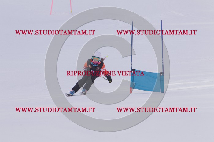 MAT_5052.JPG