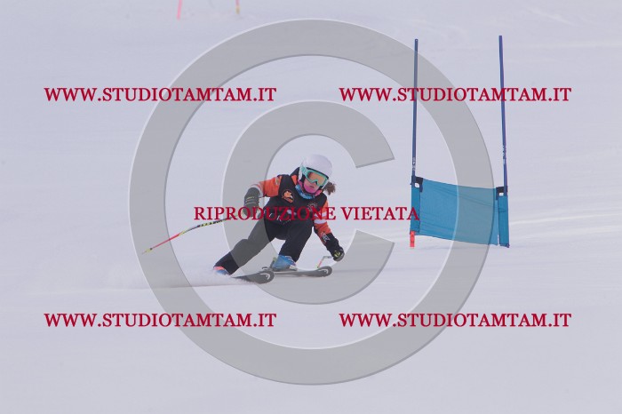 MAT_5053.JPG