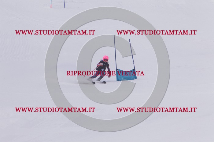 MAT_5057.JPG