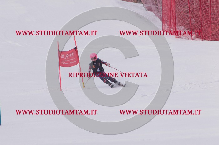 MAT_5058.JPG