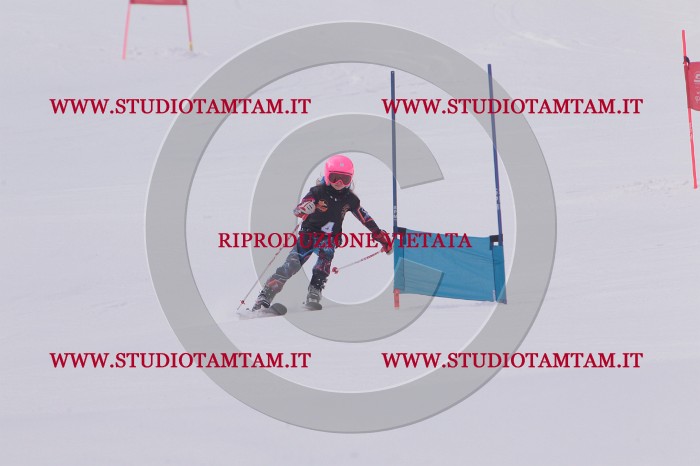 MAT_5059.JPG