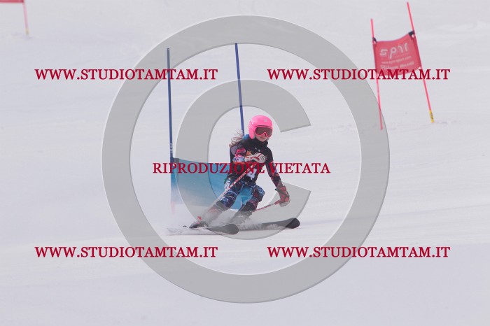 MAT_5060.JPG