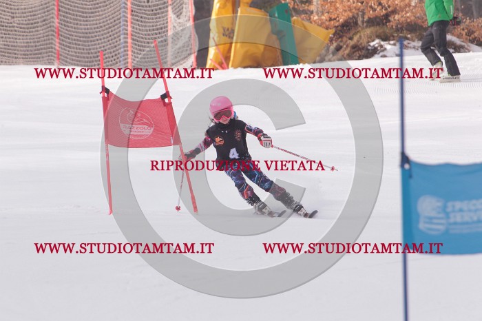 MAT_5061.JPG