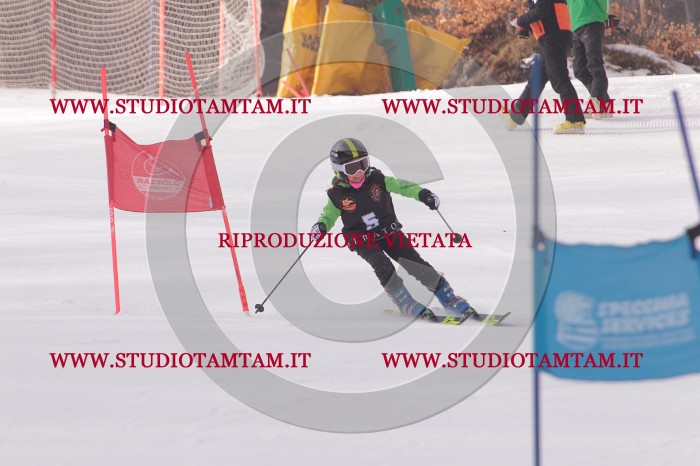 MAT_5067.JPG