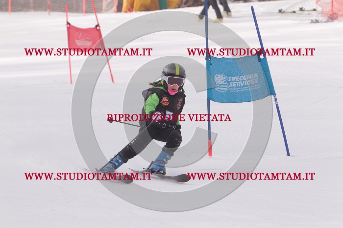 MAT_5068.JPG