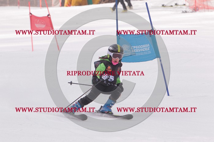 MAT_5069.JPG