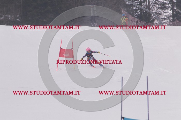 MAT_5070.JPG