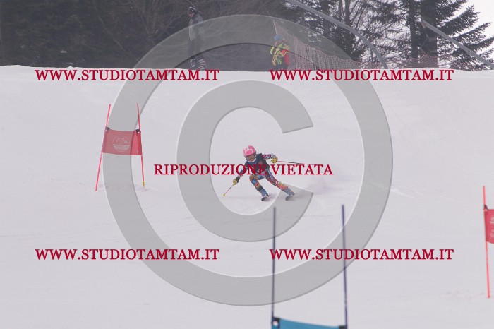 MAT_5071.JPG