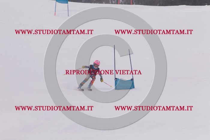 MAT_5072.JPG