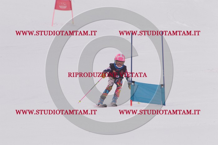 MAT_5074.JPG