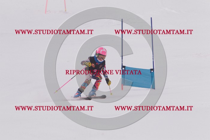 MAT_5075.JPG