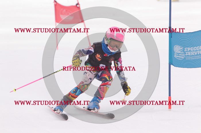 MAT_5078.JPG