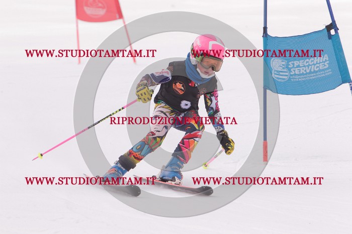 MAT_5079.JPG