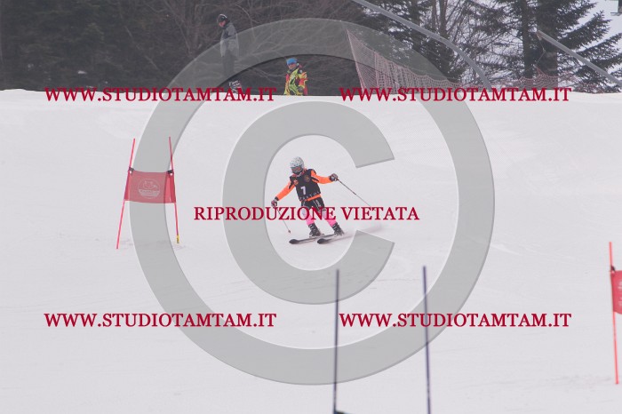 MAT_5080.JPG