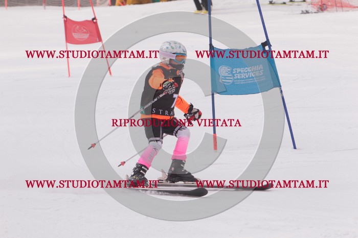 MAT_5086.JPG