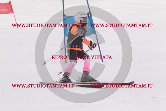 MAT_5087.JPG