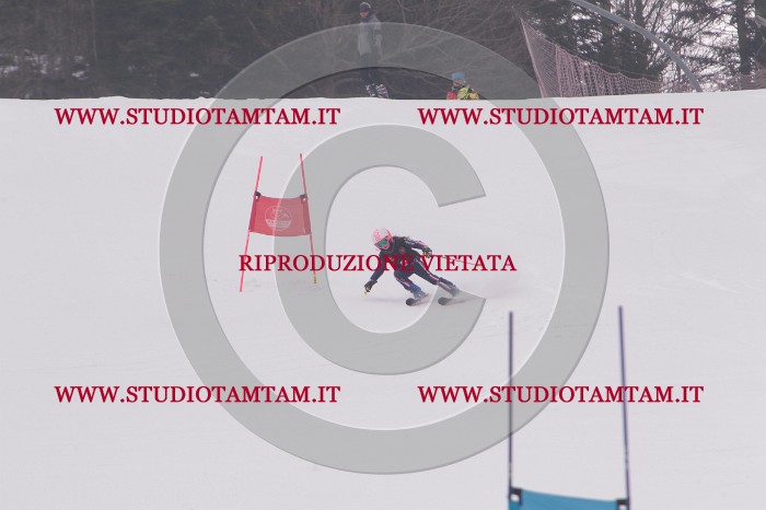 MAT_5088.JPG