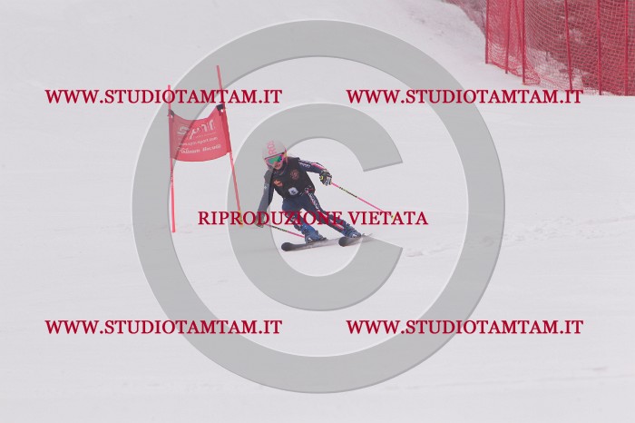 MAT_5091.JPG
