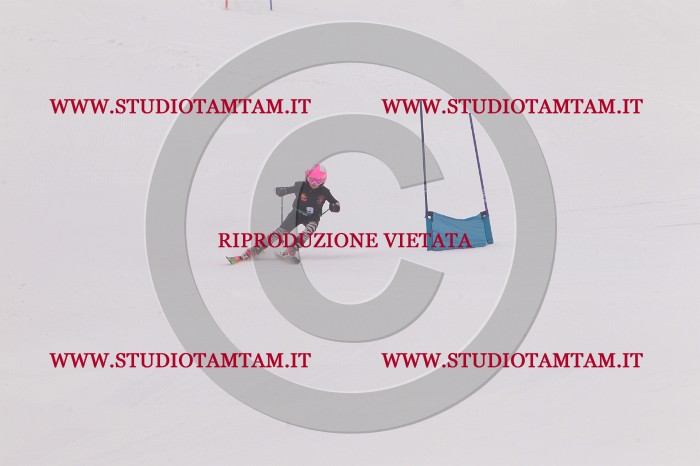 MAT_5100.JPG