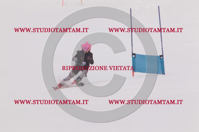 MAT_5103.JPG