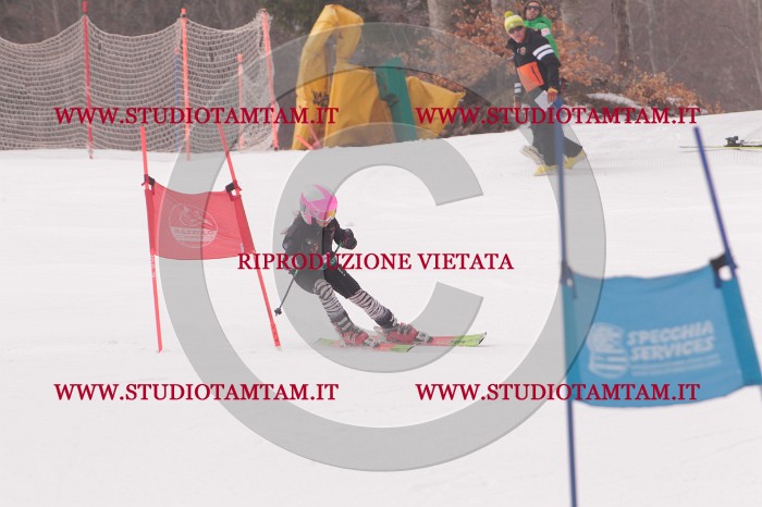 MAT_5104.JPG