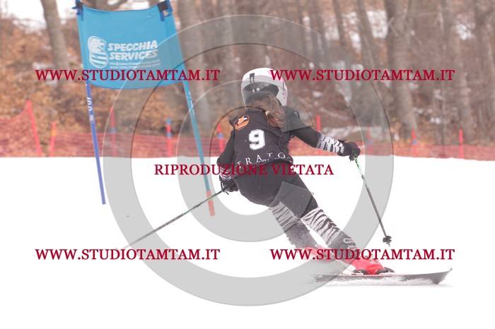 MAT_5108.JPG