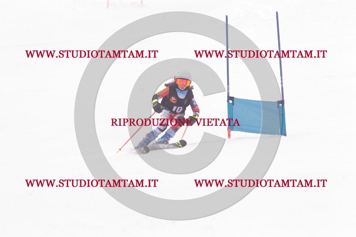 MAT_5113.JPG
