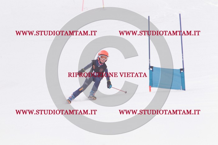 MAT_5130.JPG