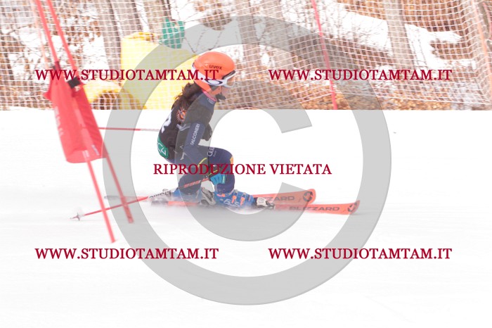 MAT_5133.JPG