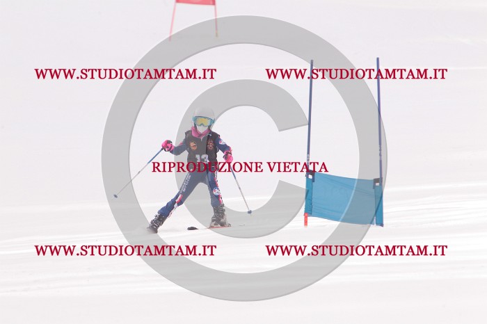 MAT_5139.JPG