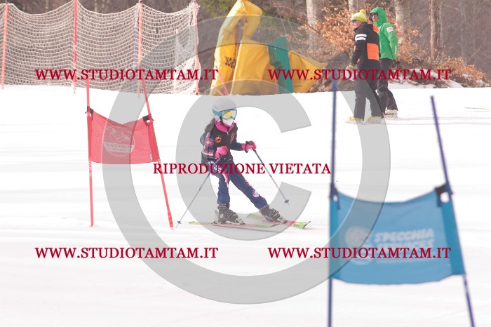 MAT_5141.JPG