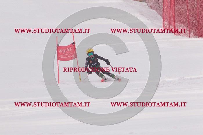MAT_5147.JPG