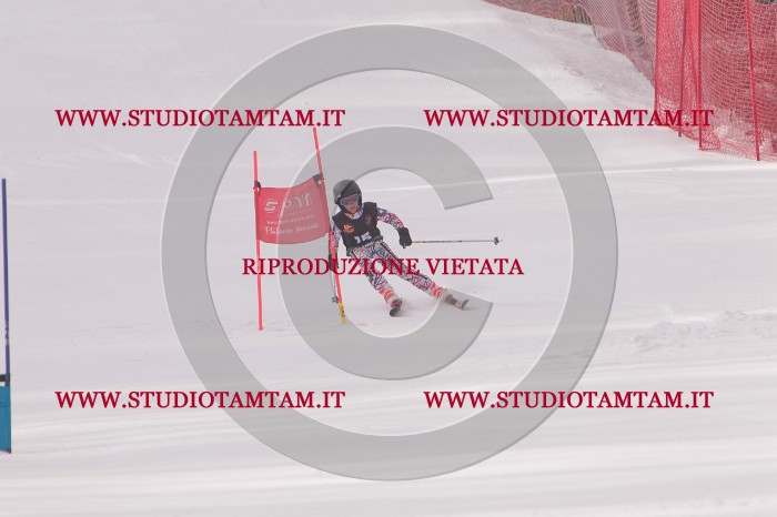 MAT_5159.JPG