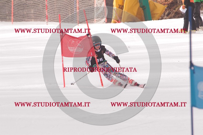 MAT_5164.JPG
